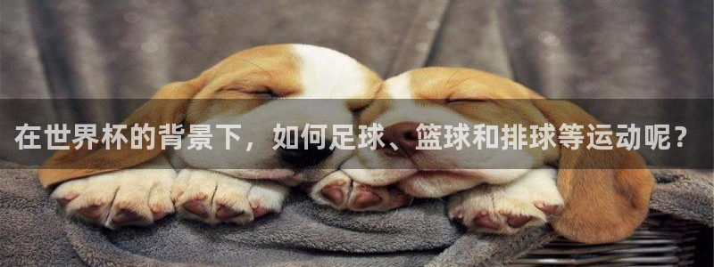 2026世界杯对阵图:在世界杯的背景下,如何足球、篮球和排球等运动呢?