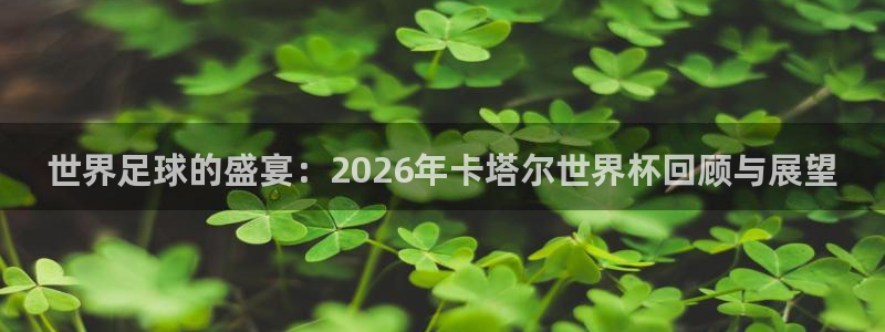 世界杯赛程时间表:世界足球的盛宴:2026年卡塔尔世界杯回顾与展望