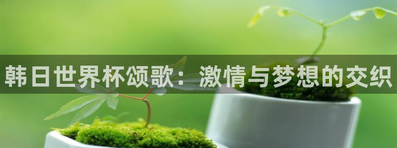 足球世界杯时间:韩日世界杯颂歌:激情与梦想的交织