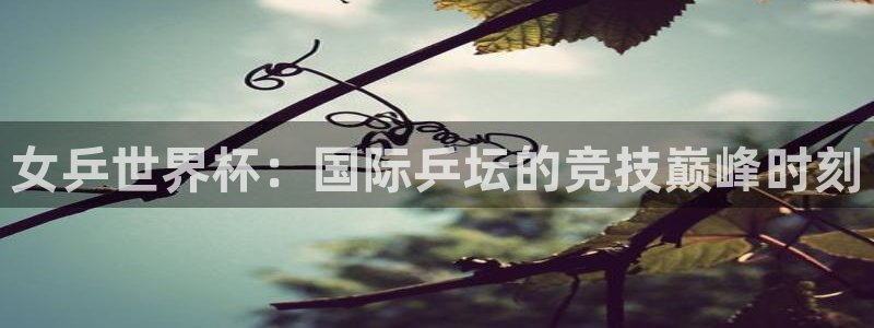世界杯在线直播入口:女乒世界杯:国际乒坛的竞技巅峰时刻